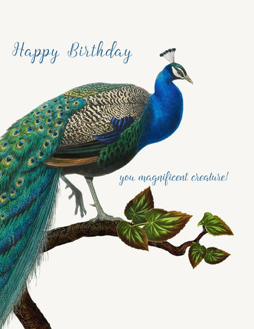 Happy Birthday You Magnificent Creature • A-2 Greeting Card