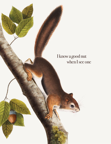 I Know A Good Nut • A-2 Greeting Card