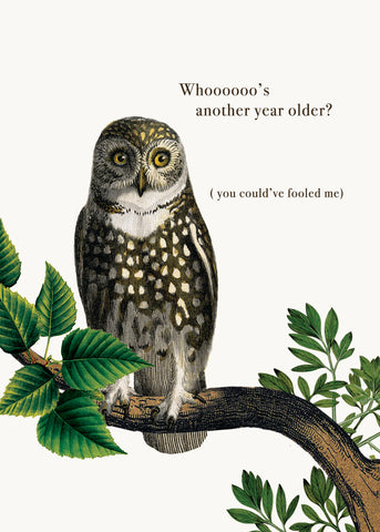 Whoooo's another year older? • 5x7 Greeting Card