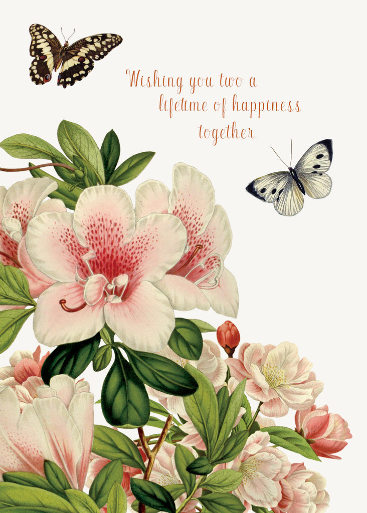 Wishing you a lifetime • 5x7 Greeting Card