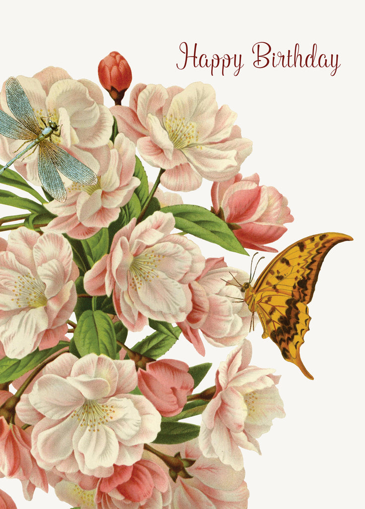 Happy Birthday (Dragonfly)• 5x7 Greeting Card
