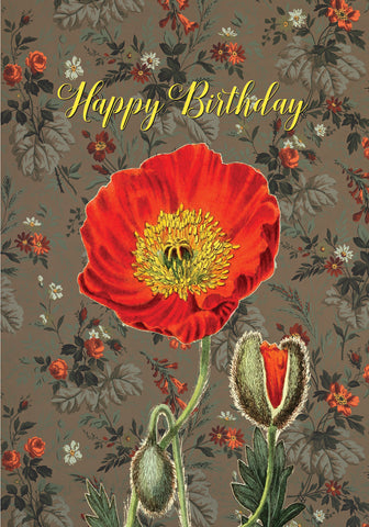 Happy Birthday (poppy)• 5x7 Greeting Card