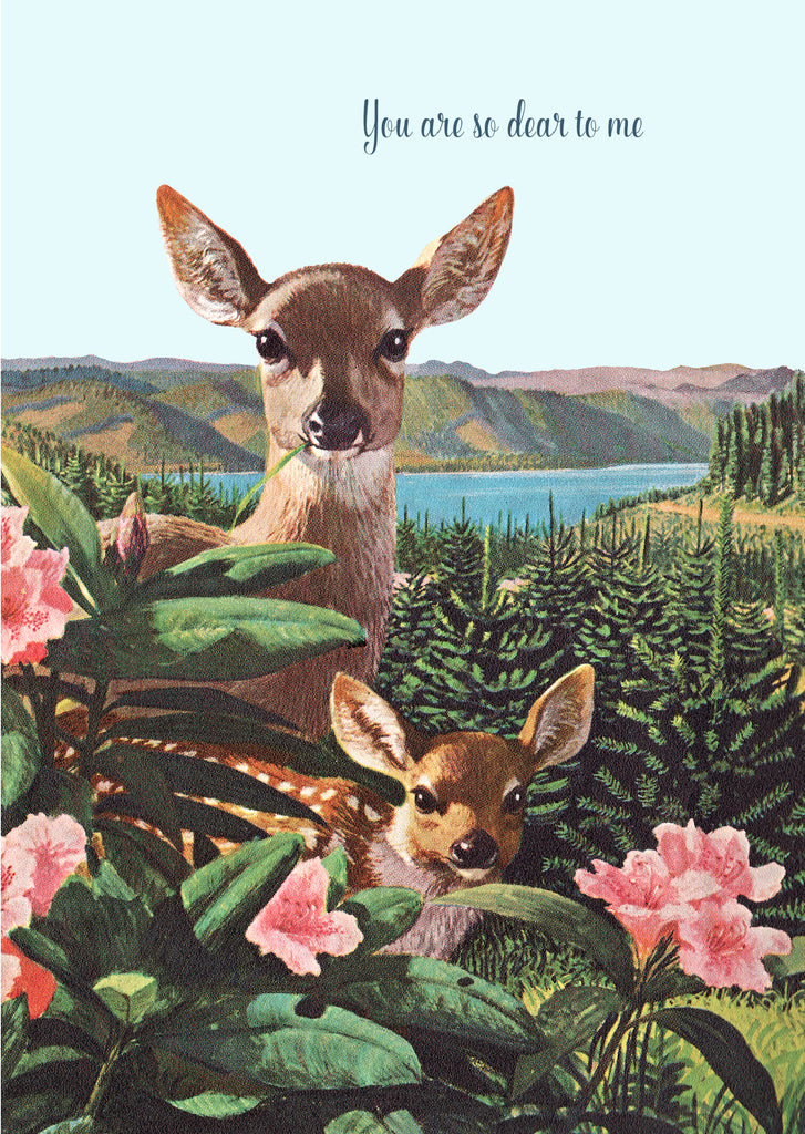 You are so Dear to Me • 5x7 Greeting Card